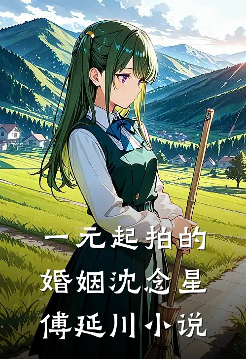 一元起拍的婚姻沈念星傅延川小说
