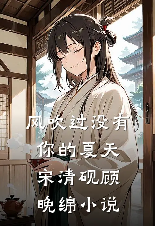 风吹过没有你的夏天宋清砚顾晚绵小说