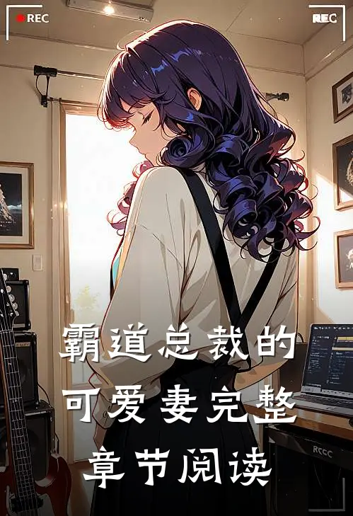霸道总裁的可爱妻完整章节阅读
