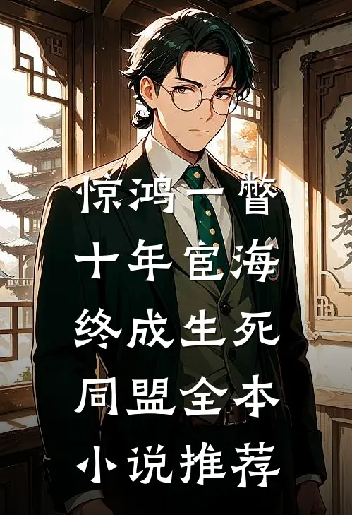 惊鸿一瞥：十年宦海，终成生死同盟全本小说推荐