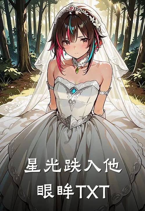 星光跌入他眼眸TXT
