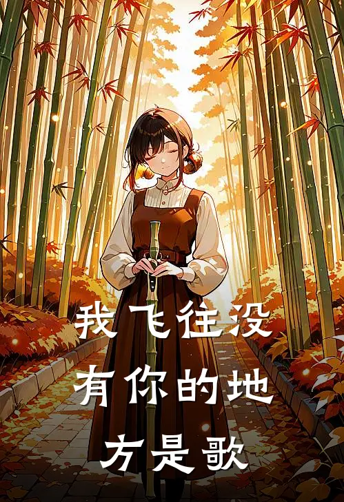 我飞往没有你的地方是歌