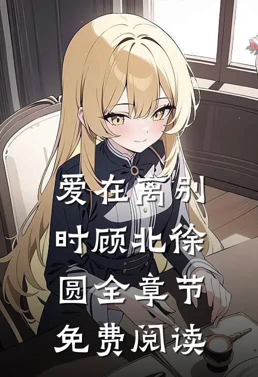爱在离别时顾北徐圆全章节免费阅读