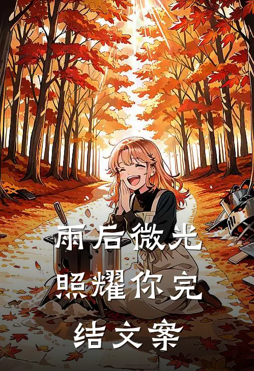 雨后微光照耀你完结文案