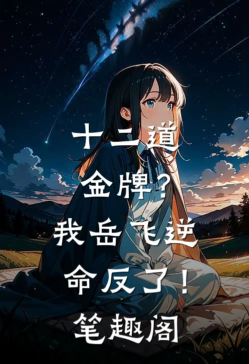 十二道金牌？我岳飞逆命反了！笔趣阁