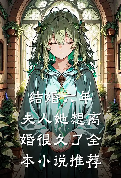 结婚六年，夫人她想离婚很久了全本小说推荐