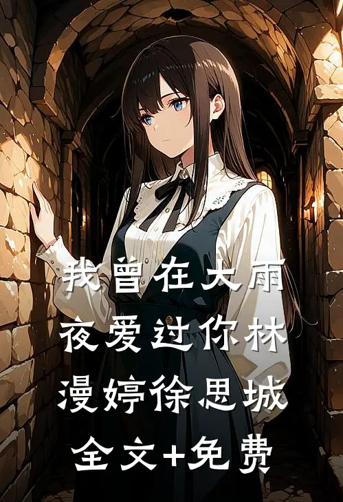 我曾在大雨夜爱过你林漫婷徐思城全文+免费