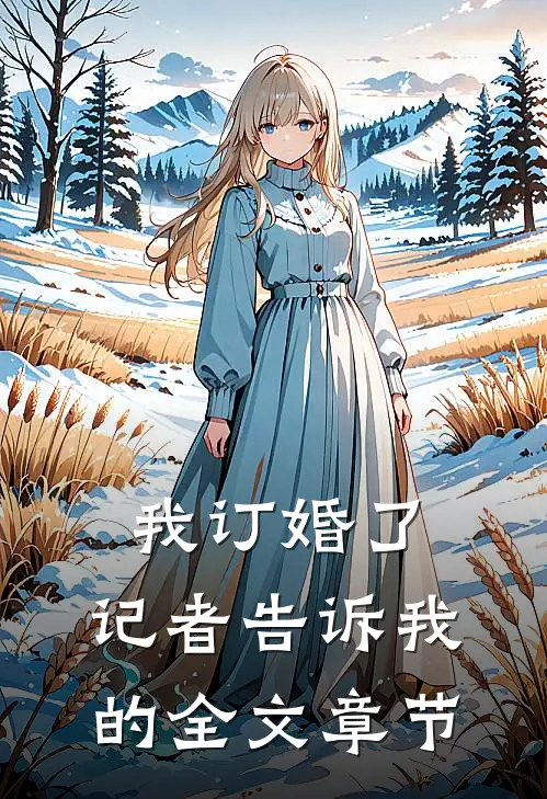 我订婚了，记者告诉我的全文章节
