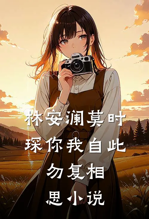 林安澜莫时琛你我自此，勿复相思小说