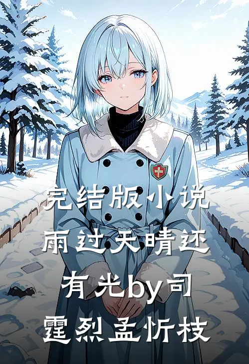 完结版小说雨过天晴还有光by司霆烈孟忻枝