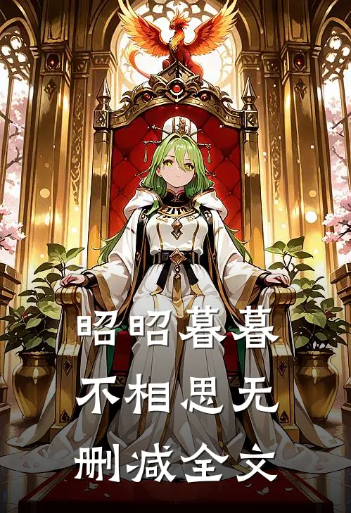 昭昭暮暮不相思无删减全文