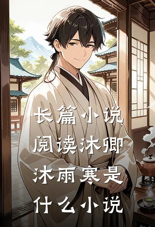 长篇小说阅读沐卿沐雨寒是什么小说