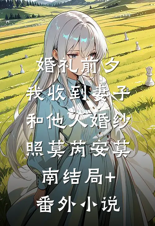 婚礼前夕，我收到妻子和他人婚纱照莫芮安莫南结局+番外小说