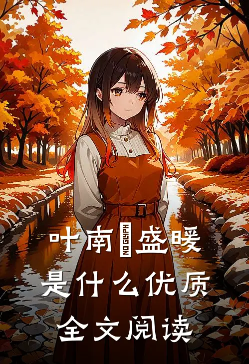 叶南烆盛暖是什么优质全文阅读