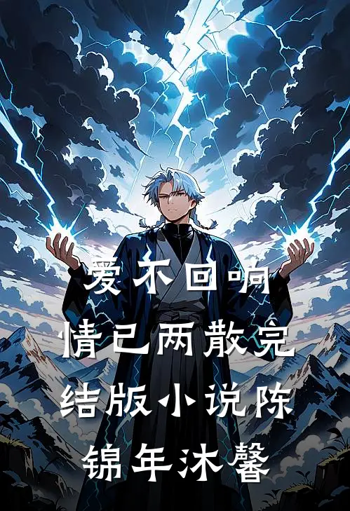 爱不回响，情已两散完结版小说陈锦年沐馨