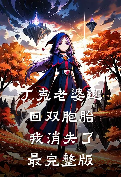 丁克老婆迎回双胞胎，我消失了最完整版