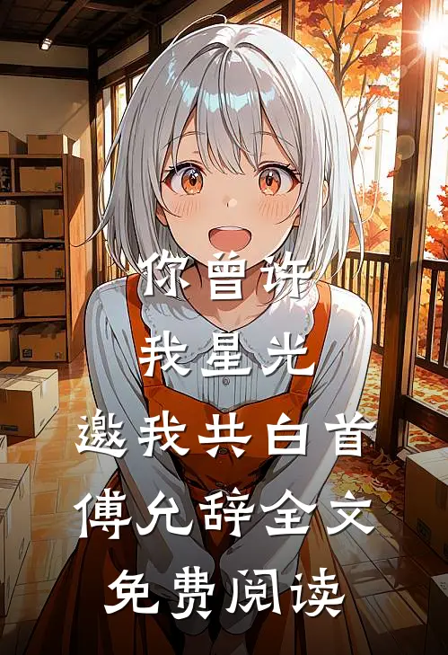 你曾许我星光，邀我共白首傅允辞全文免费阅读
