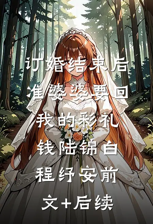 订婚结束后，准婆婆要回我的彩礼钱陆锦白程纾安前文+后续