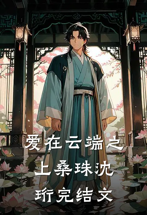 爱在云端之上桑珠沈珩完结文