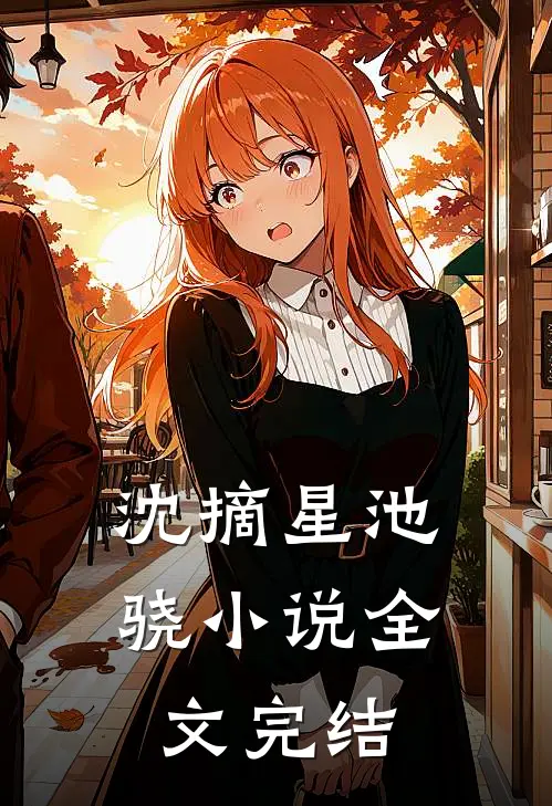 沈摘星池骁小说全文完结