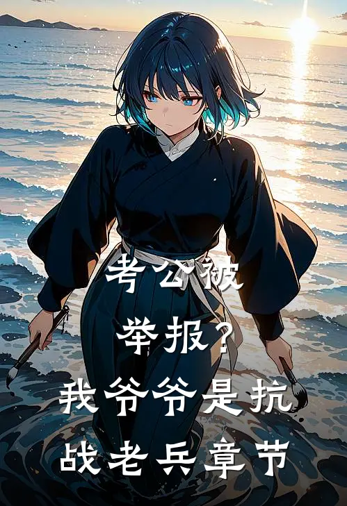 考公被举报？我爷爷是抗战老兵章节