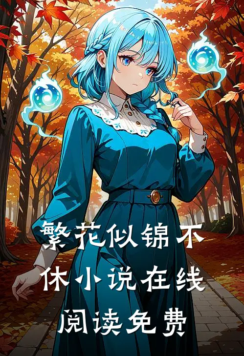 繁花似锦不休小说在线阅读免费