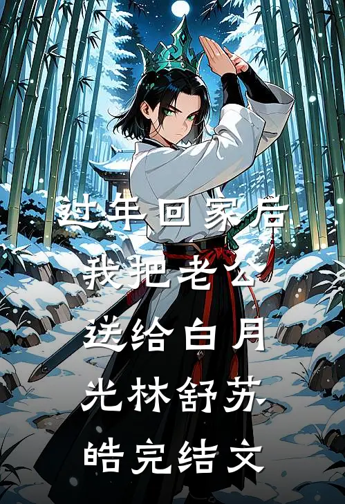 过年回家后，我把老公送给白月光林舒苏皓完结文
