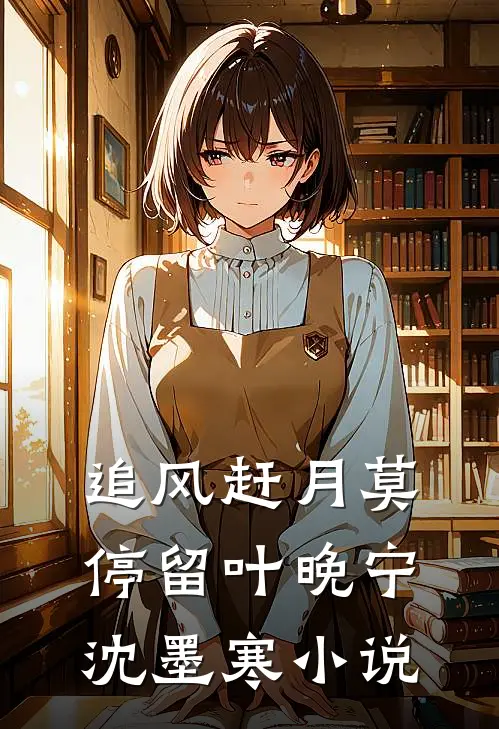 追风赶月莫停留叶晚宁沈墨寒小说