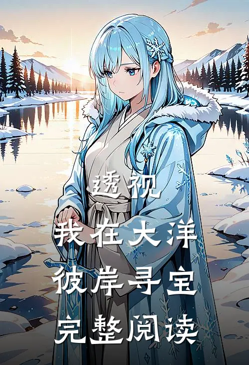 透视：我在大洋彼岸寻宝完整阅读