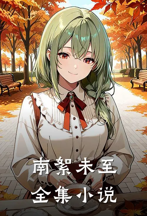 南絮未至全集小说