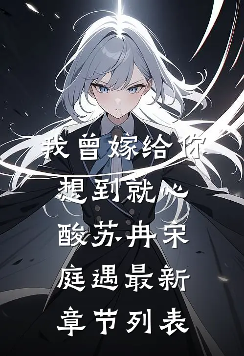 我曾嫁给你，想到就心酸苏冉宋庭遇最新章节列表