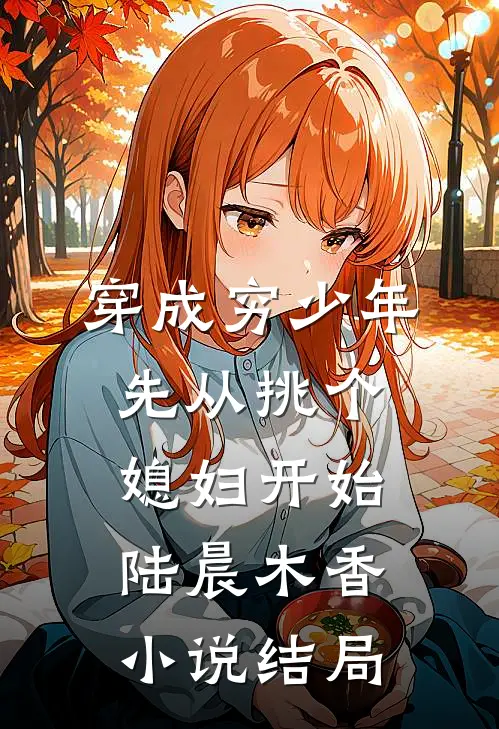 穿成穷少年，先从挑个媳妇开始陆晨木香小说结局
