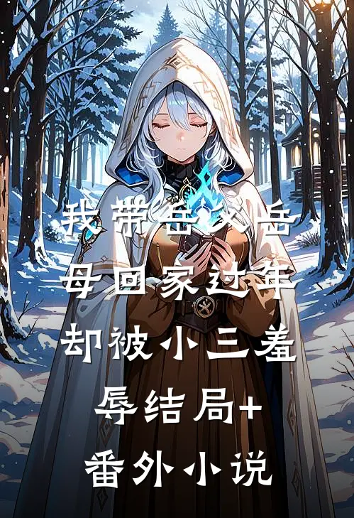 我带岳父岳母回家过年，却被小三羞辱结局+番外小说