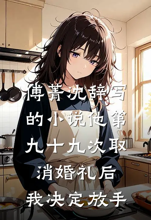 傅菁沈辞写的小说他第九十九次取消婚礼后，我决定放手