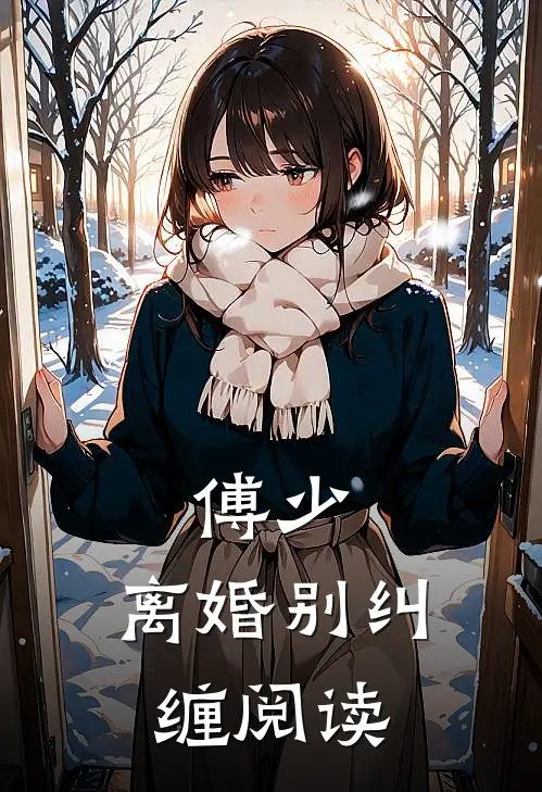 傅少，离婚别纠缠阅读