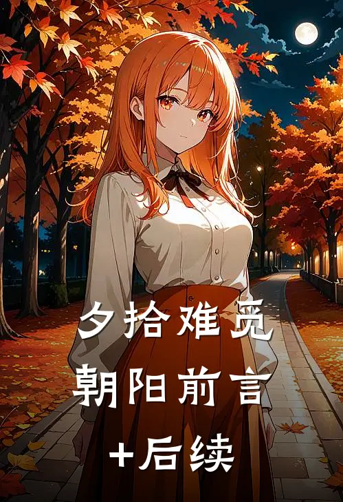 夕拾难觅朝阳前言+后续