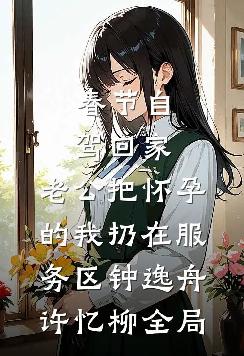 春节自驾回家，老公把怀孕的我扔在服务区钟逸舟许忆柳全局