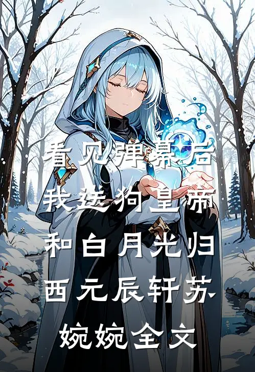 看见弹幕后，我送狗皇帝和白月光归西元辰轩苏婉婉全文