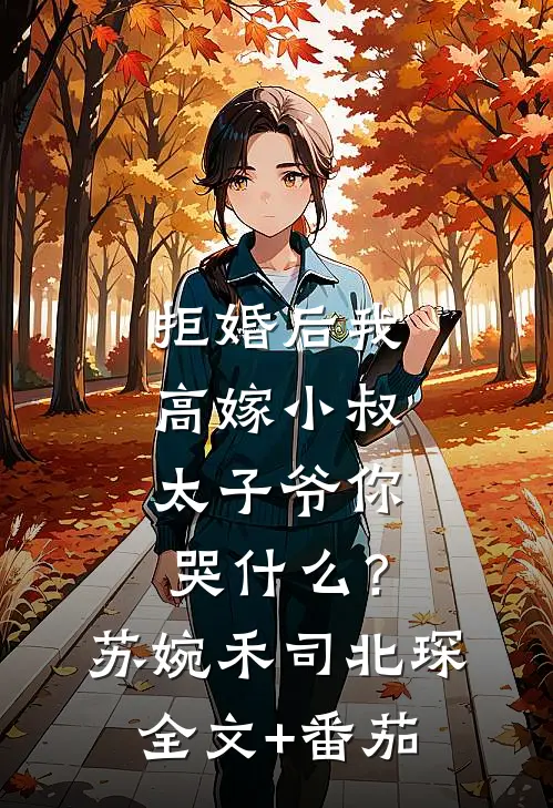 拒婚后我高嫁小叔，太子爷你哭什么？苏婉禾司北琛全文+番茄