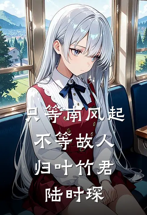 只等南风起，不等故人归(叶竹君陆时琛)