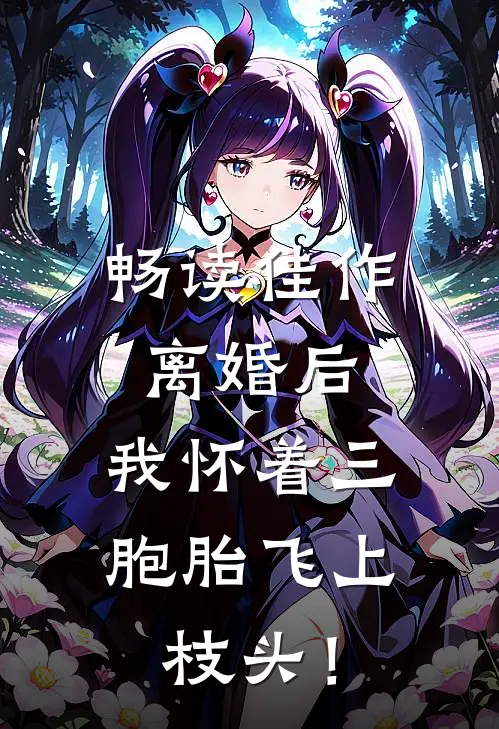 畅读佳作离婚后，我怀着三胞胎飞上枝头！