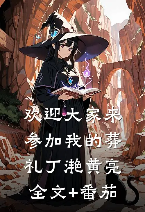 欢迎大家来参加我的葬礼丁滟黄亮全文+番茄