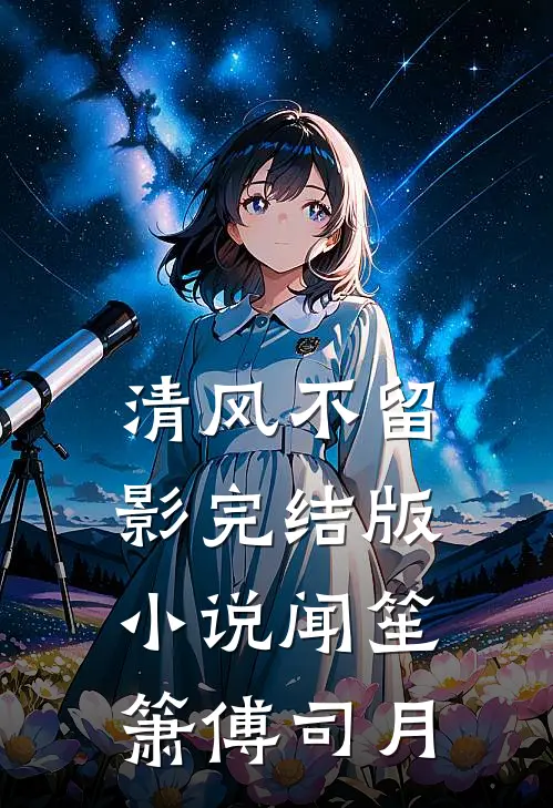 清风不留影完结版小说闻笙箫傅司月
