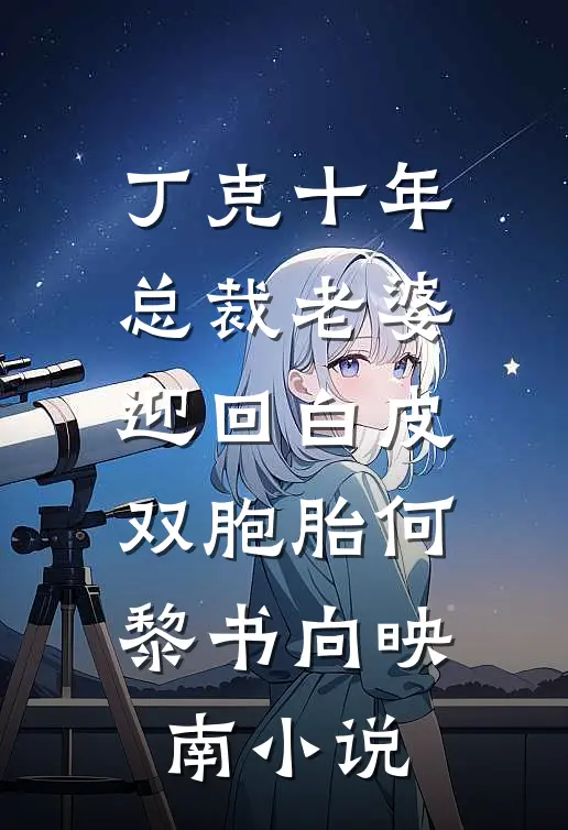 丁克十年，总裁老婆迎回白皮双胞胎何黎书向映南小说