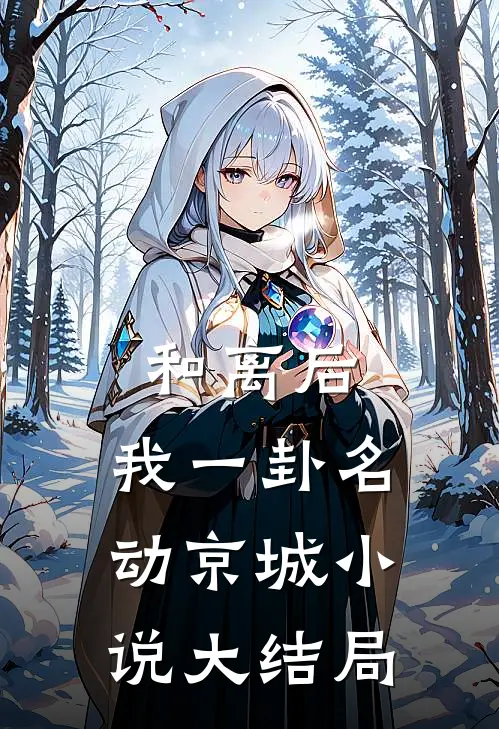和离后，我一卦名动京城小说大结局