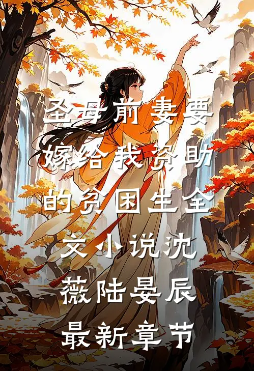 圣母前妻要嫁给我资助的贫困生全文小说沈薇陆晏辰最新章节