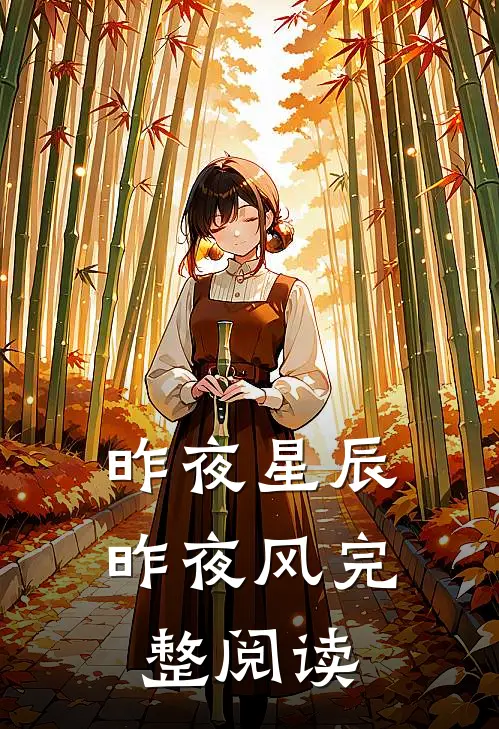 昨夜星辰昨夜风完整阅读
