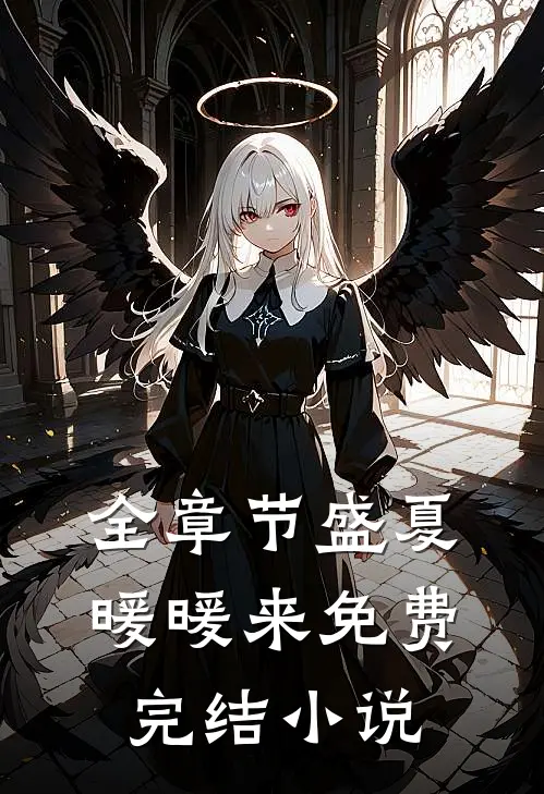 全章节盛夏暖暖来免费完结小说