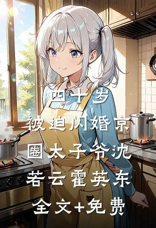四十岁，被迫闪婚京圈太子爷沈若云霍英东全文+免费
