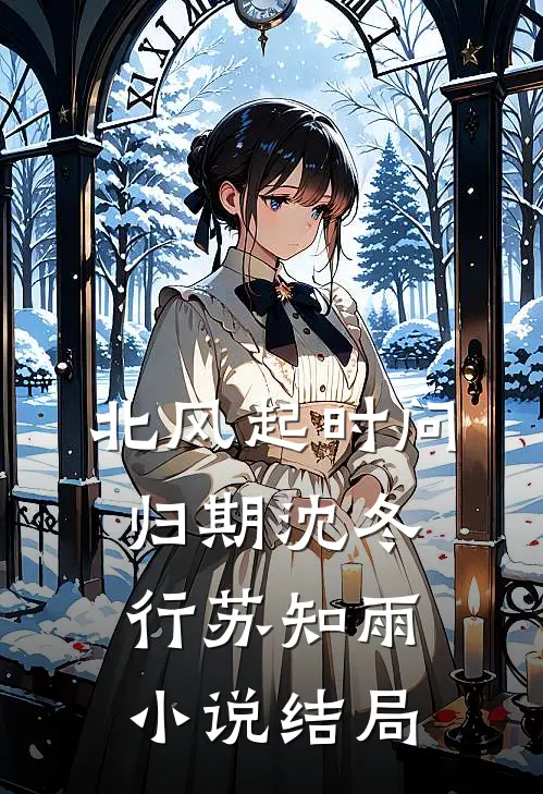 北风起时问归期沈冬行苏知雨小说结局